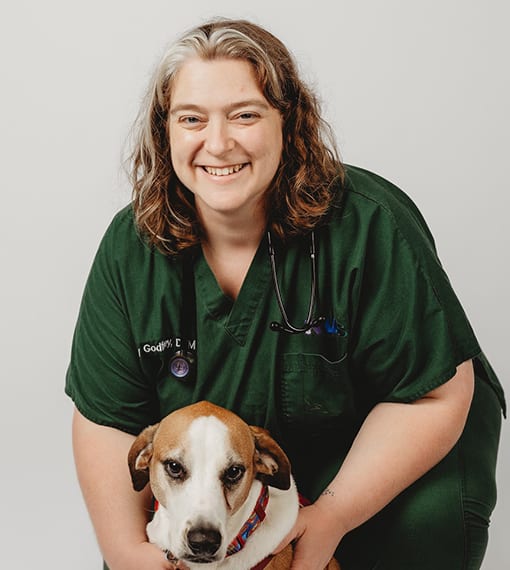 Dr. Stacy Godfrey, Newtown Emergency Veterinarian