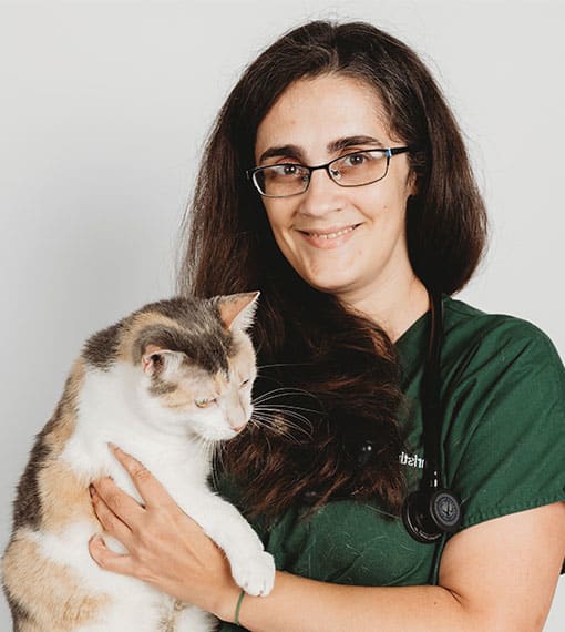 Christin Little, Newtown Emergency Veterinarian