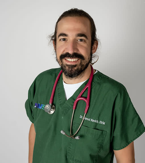 Jared Ravich, Newtown Emergency Veterinarian